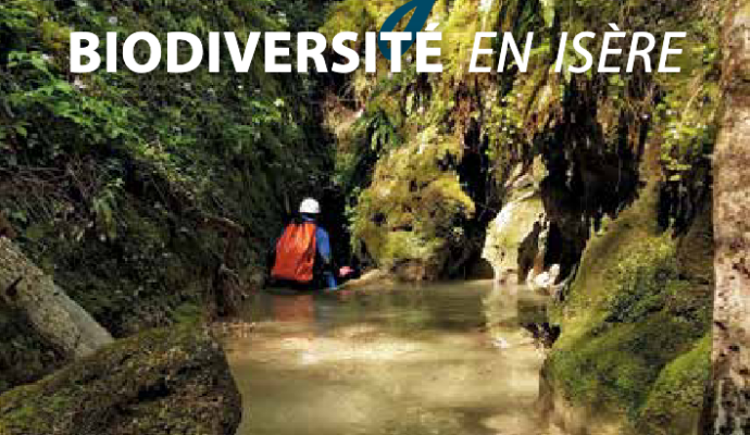 canyon habitats et micro habitants biodiversité en isère