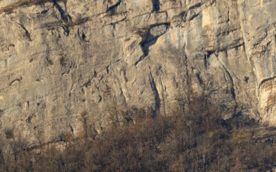 Réouverture – Le Belvédère de Luce – Lumbin