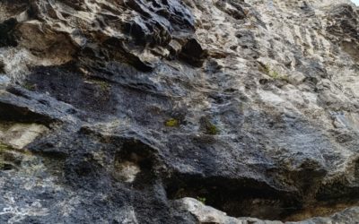 fontaine, pierre beghin – interdiction d’accès
