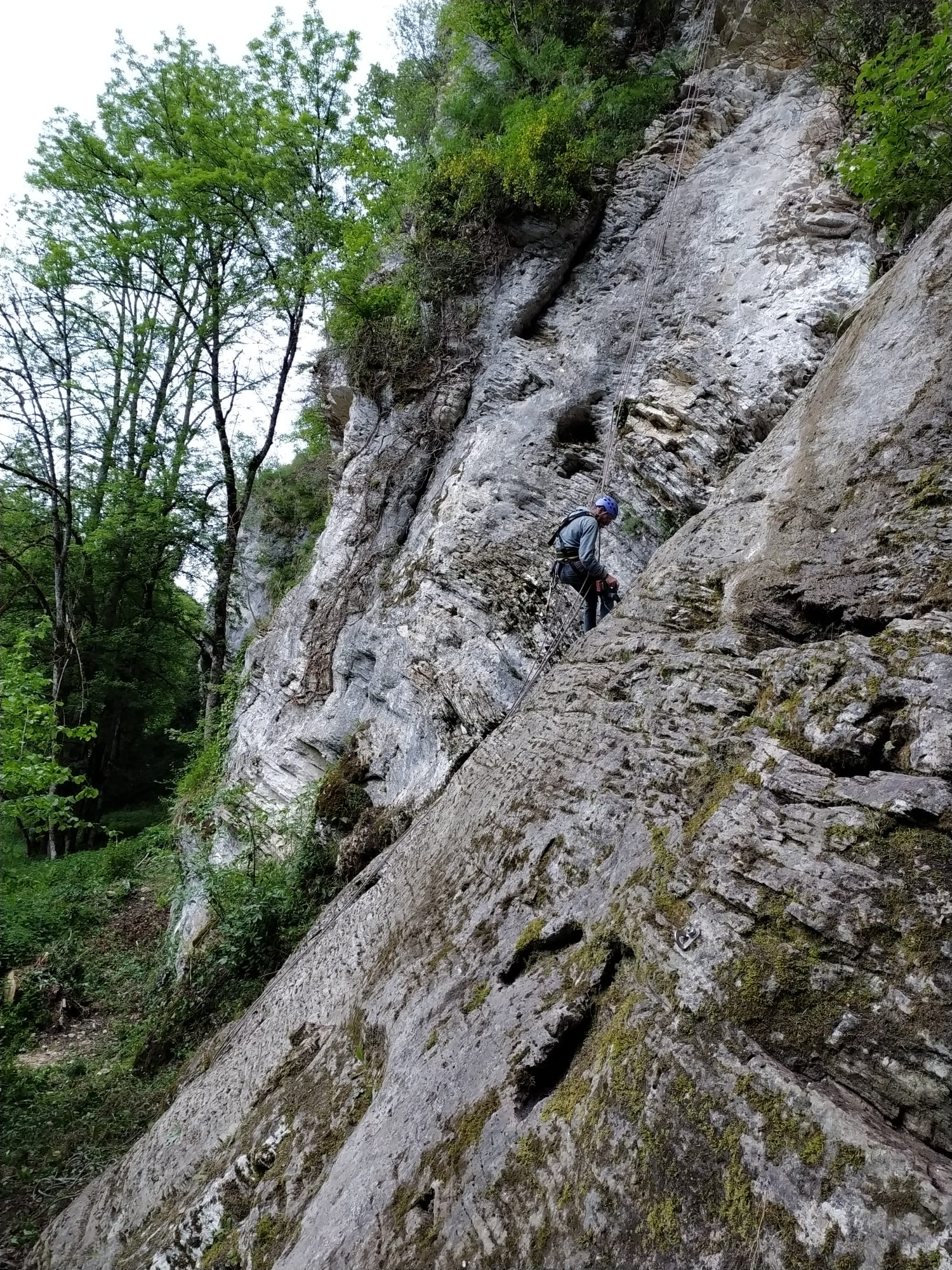 Cordet-2