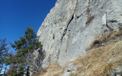 Mens Le Chatel – Mise à jour Topo