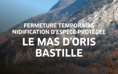 Nidification du grand duc – le mas d&rsquo;oris (bastille)
