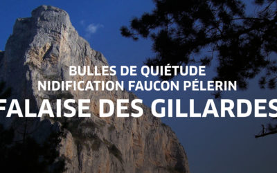Bulle de quiétude pour la protection du Faucon pèlerin – Falaise des Gillardes (2026)