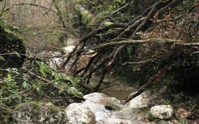 Interdiction temporaire au Versoud