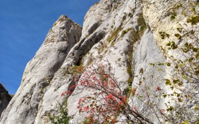 Rééquipement d’un secteur d’escalade à Lans en Vercors