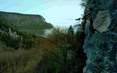 entretien du site d&rsquo;escalade de Malleval