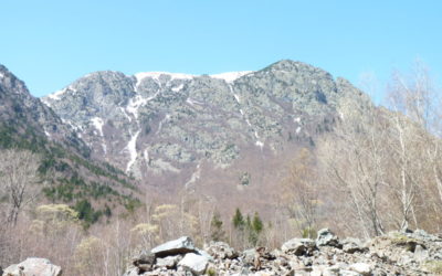 Nouveau Site – Le Miret