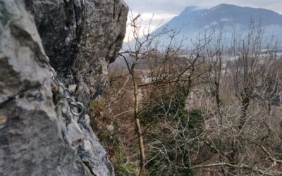 entretien saint egreve – jardin de ville